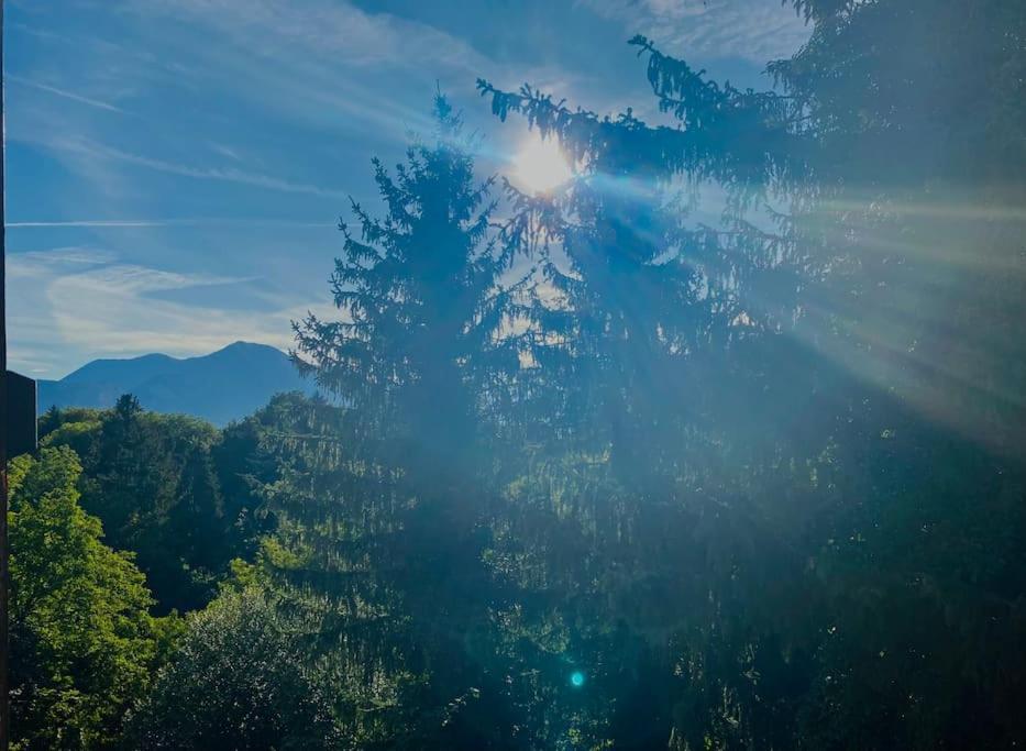 T2 Cocon Avec Balcon Et Parking Appartement La Roche-sur-Foron Buitenkant foto